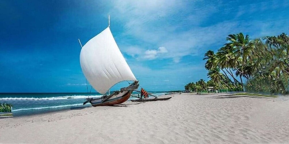 Picture 8 for Activity Negombo: Lagoon Fishing Tour from Colombo Harbour!