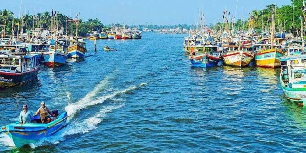 Negombo: Lagoon Fishing Tour from Colombo Harbour!