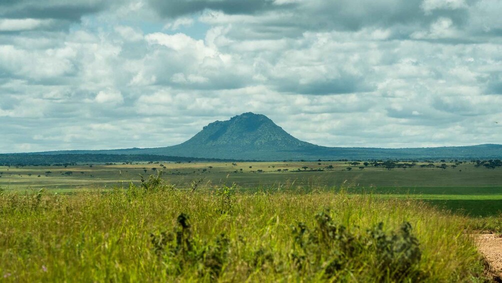 Picture 76 for Activity From Arusha: 3-Day Safari Tarangire, Ngorongoro and Manyara