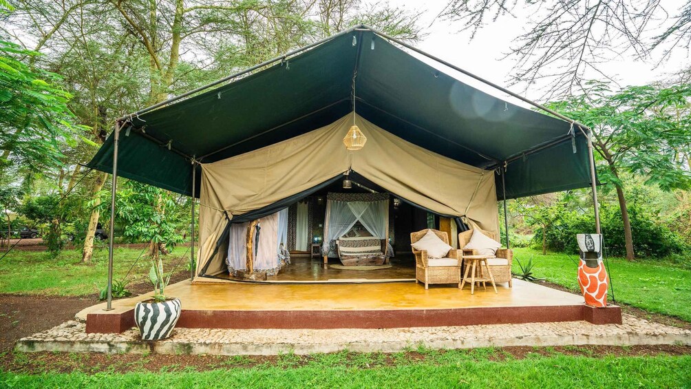 Picture 40 for Activity From Arusha: 3-Day Safari Tarangire, Ngorongoro and Manyara