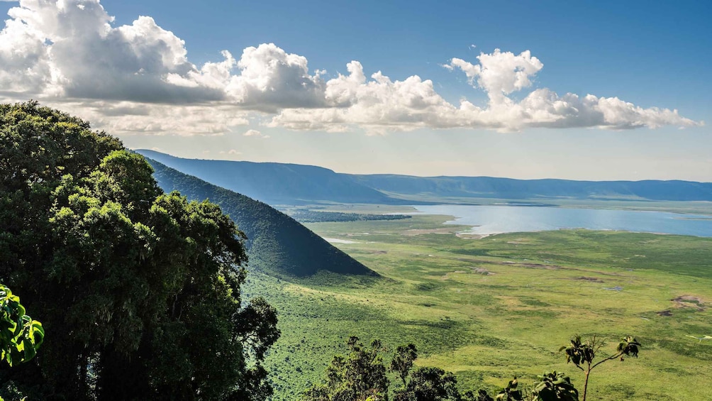 Picture 6 for Activity From Arusha: 3-Day Safari Tarangire, Ngorongoro and Manyara