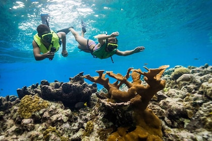 Catamaran Party Cruise and Snorkelling from Montego Bay