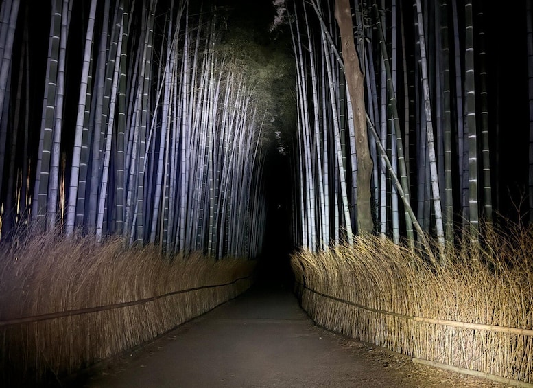 Picture 1 for Activity Ghost hunting in the bamboo forest - Kyoto Arashiyama Night!