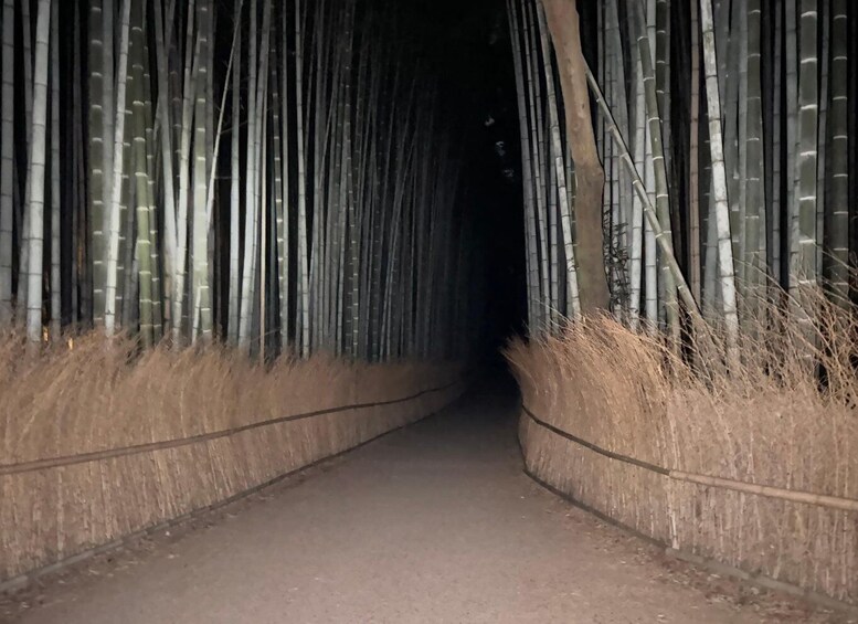 Picture 8 for Activity Ghost hunting in the bamboo forest - Kyoto Arashiyama Night!
