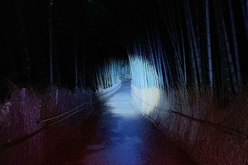 Picture 2 for Activity Ghost hunting in the bamboo forest - Kyoto Arashiyama Night!