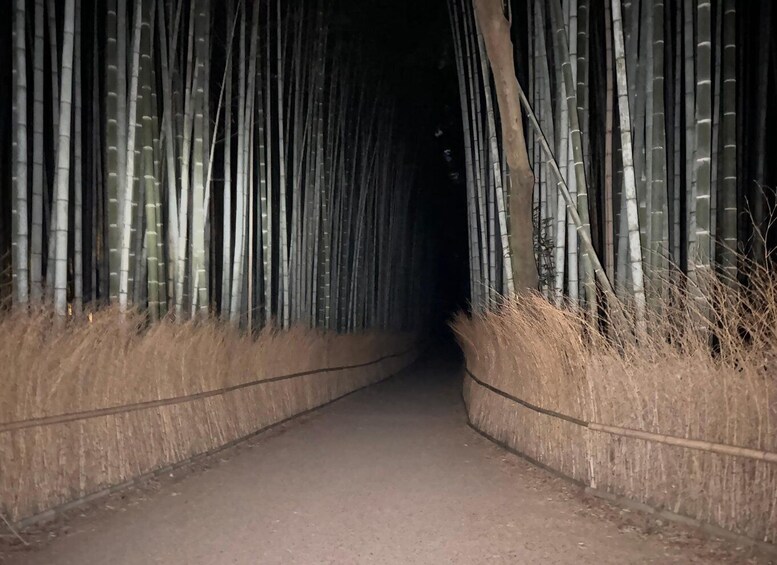 Picture 2 for Activity Kyoto Ghost Tour: Dark Tales & the Bamboo Forest at Night