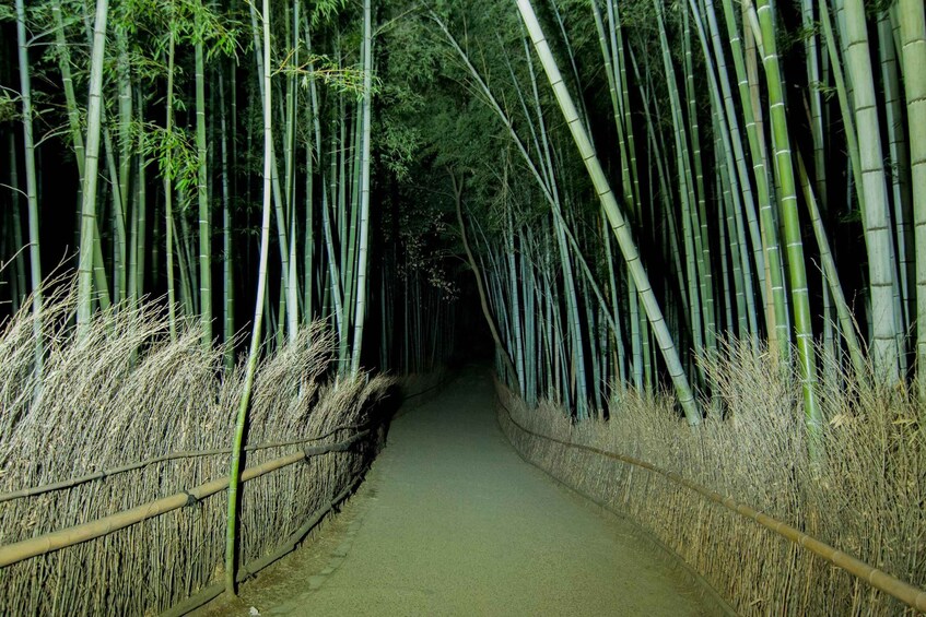 Picture 6 for Activity Kyoto Ghost Tour: Dark Tales & the Bamboo Forest at Night