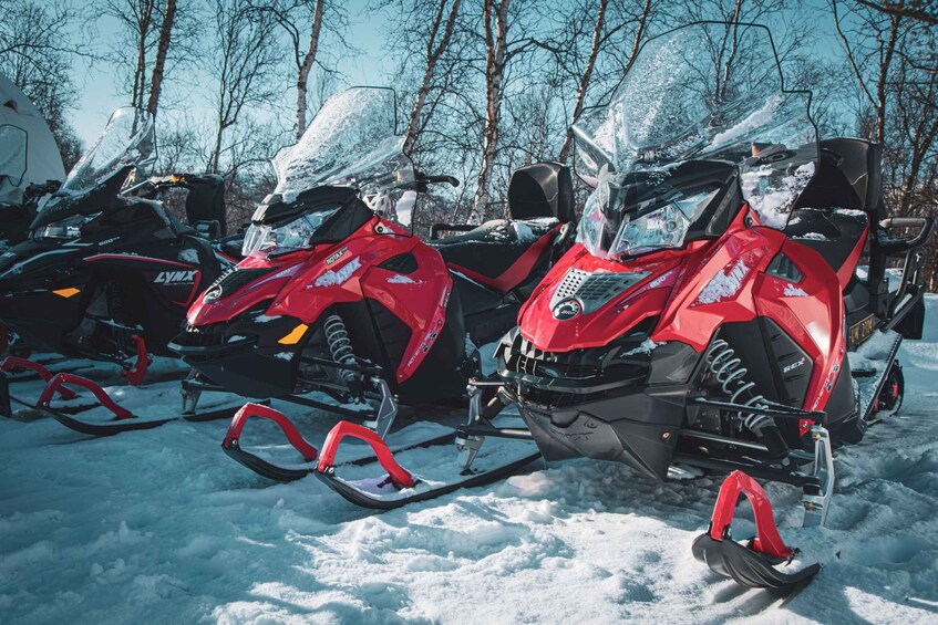 Picture 3 for Activity From Alta: Snowmobile Morning Adventure