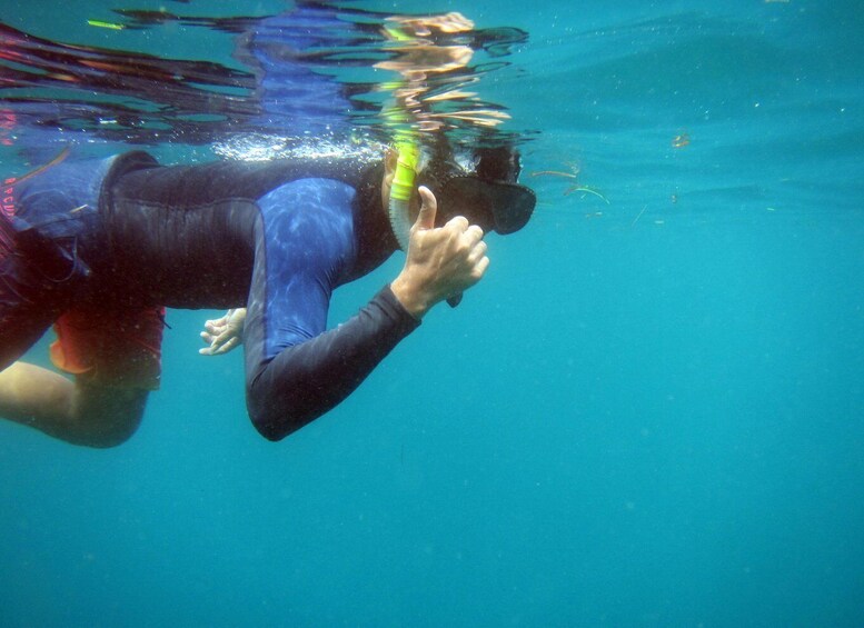 Picture 3 for Activity Bali: 1 Hour Snorkeling at Nusa Dua Beach