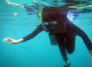 Bali: 1 Hour Snorkeling at Nusa Dua Beach