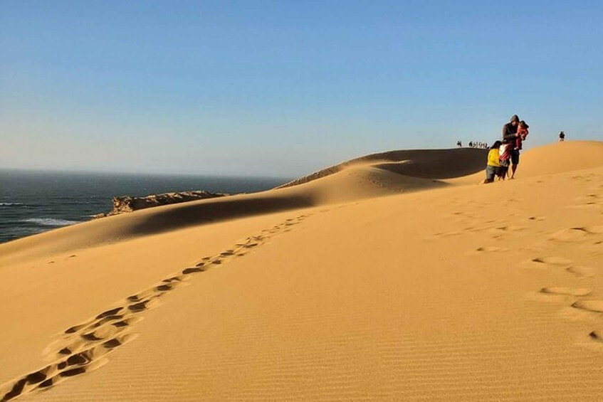 Picture 12 for Activity Paradise Valley Visit & Desert Sandboarding with Lunch