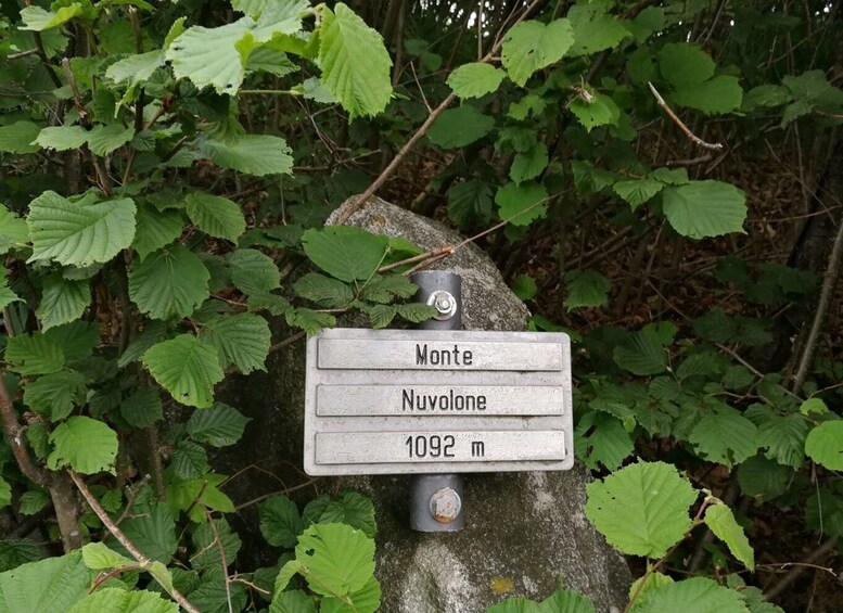 Picture 2 for Activity Bellagio: Easy hike on the mountains above lake Como