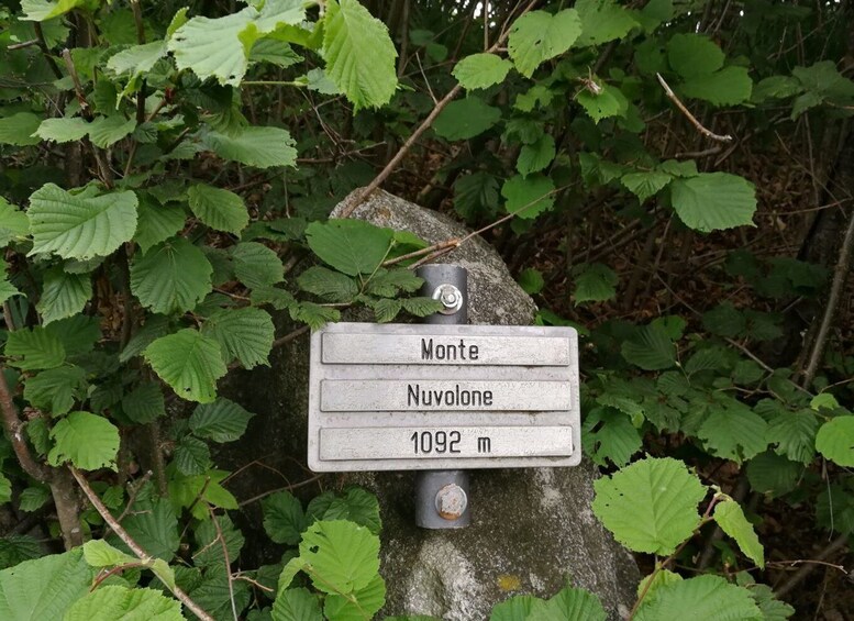 Picture 2 for Activity Bellagio: Easy hike on the mountains above lake Como