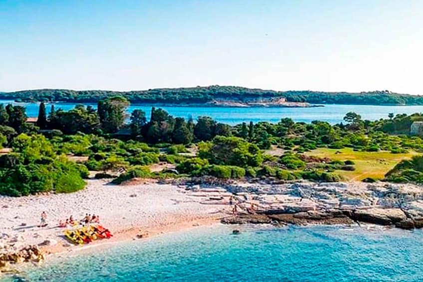Picture 16 for Activity Pula: National Park Brijuni Island Visit & Dolphin Cruise