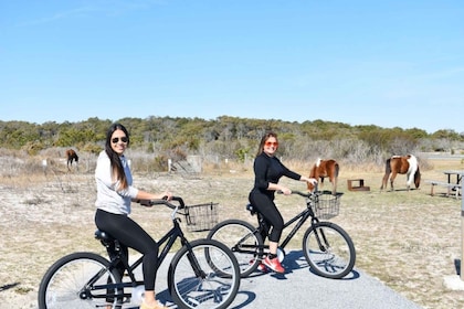 Assateague Island: Bike Rental from the Bayside Stand