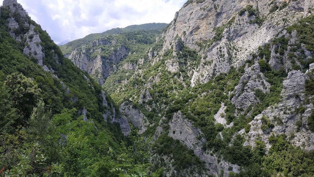 Pieria: Guided Hiking Tour in Enipeas Gorge of Mount Olympus