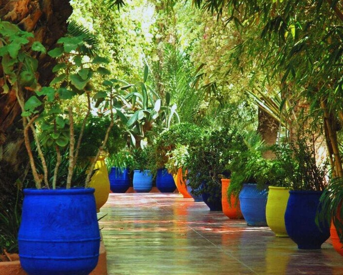 Picture 17 for Activity Marrakech: Majorelle & Menara Garden Tour and Carriage Ride