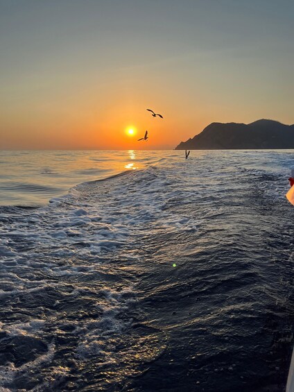 Picture 1 for Activity La Spezia: Cinque Terre Morning or Sunset Tour with Aperitif