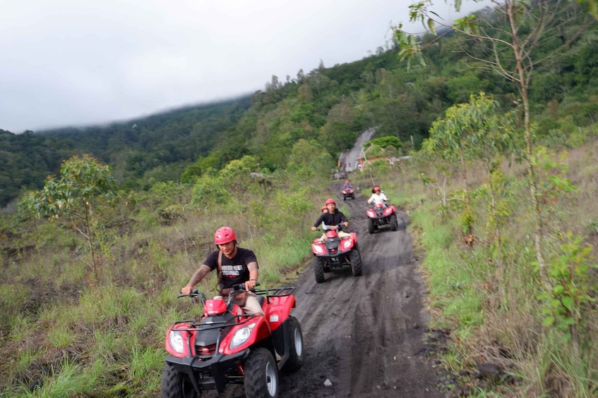 Picture 5 for Activity Bali: Mount Batur Quad Bike Tour and Natural Hot Springs