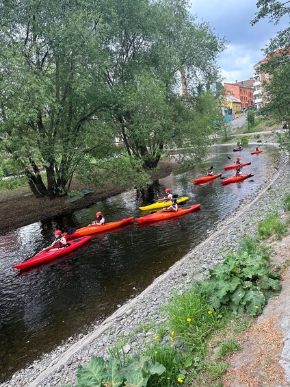 Picture 10 for Activity Akerselva River: Urban Paddling Adventure Kayak Tour