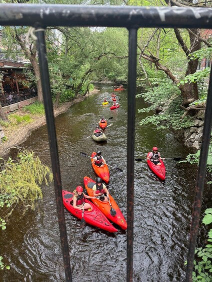 Picture 16 for Activity Akerselva River: Urban Paddling Adventure Kayak Tour