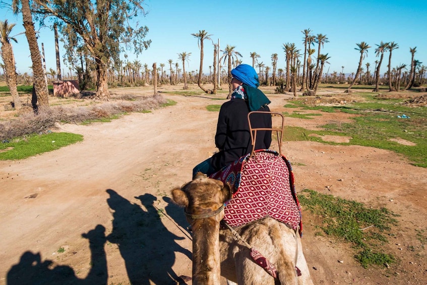 Picture 1 for Activity From Marrakech: Camel Ride, Quad Bike & Spa Full-Day Trip