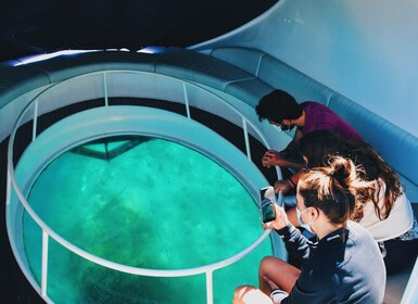 São Miguel: recorrido en barco con fondo de cristal y esnórquel