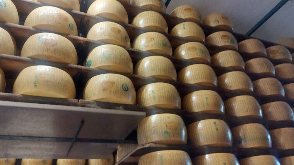 Picture 3 for Activity Rosola: Parmigiano Dairy Farm Visit with Cheese Tasting