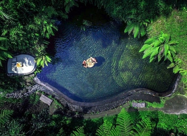 bali safari park gianyar Ubud: Floating Breakfast, Jungle Swing & Spa Romantic Tour