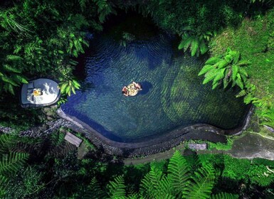 Ubud: Flytende frokost, jungel swing og spa romantisk tur