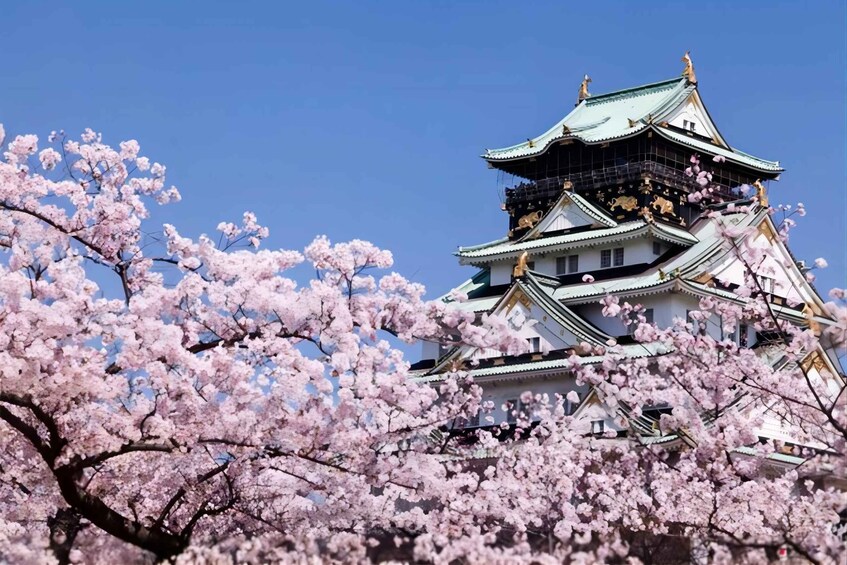 Osaka: 10-hour Customizable Tour with Private Car