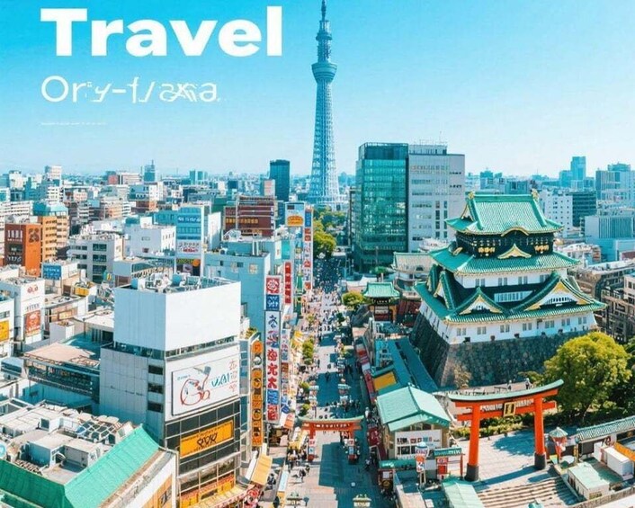 Osaka: Customizable Full-Day Tour with Private Transfer