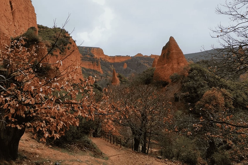 Picture 3 for Activity Las Médulas: Guided Walking Tour