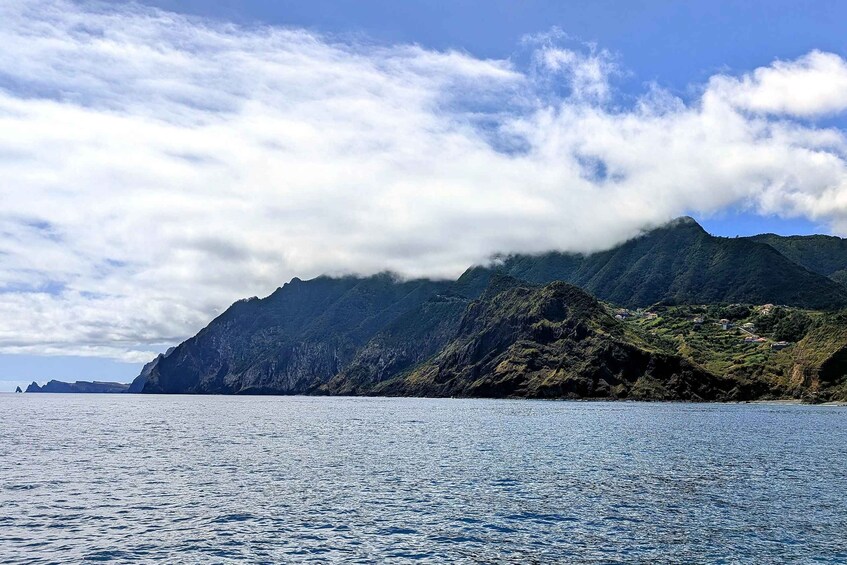 Picture 3 for Activity Madeira's East Side: Half-day Private Tour (Cabriolet)