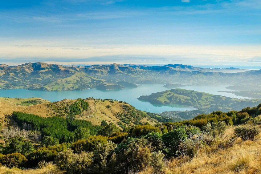 Picture 3 for Activity Akaroa: 4WD Safari and Guided Sea-Kayaking Experience