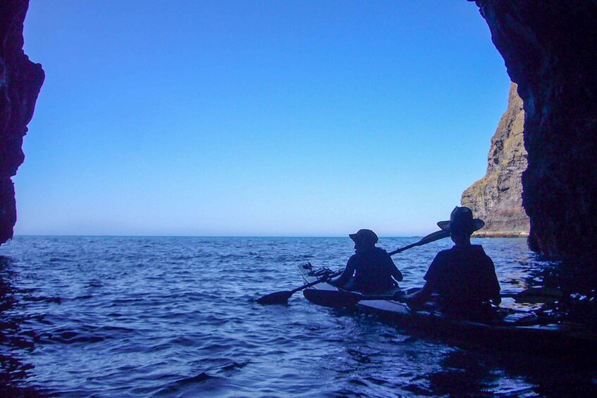 Picture 1 for Activity Akaroa: 4WD Safari and Guided Sea-Kayaking Experience