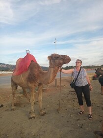 5 Hour Deluxe Private Guided Tour of Tangier