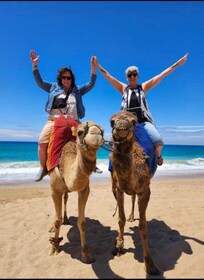 4 Hours Deluxe Guided Tour of Tangier + Camel riding + tea.