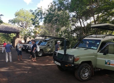 8 Days Great Migration Tour – Mara River Crossing