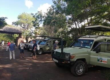 8 Tage Great Migration Tour - Mara River Crossing