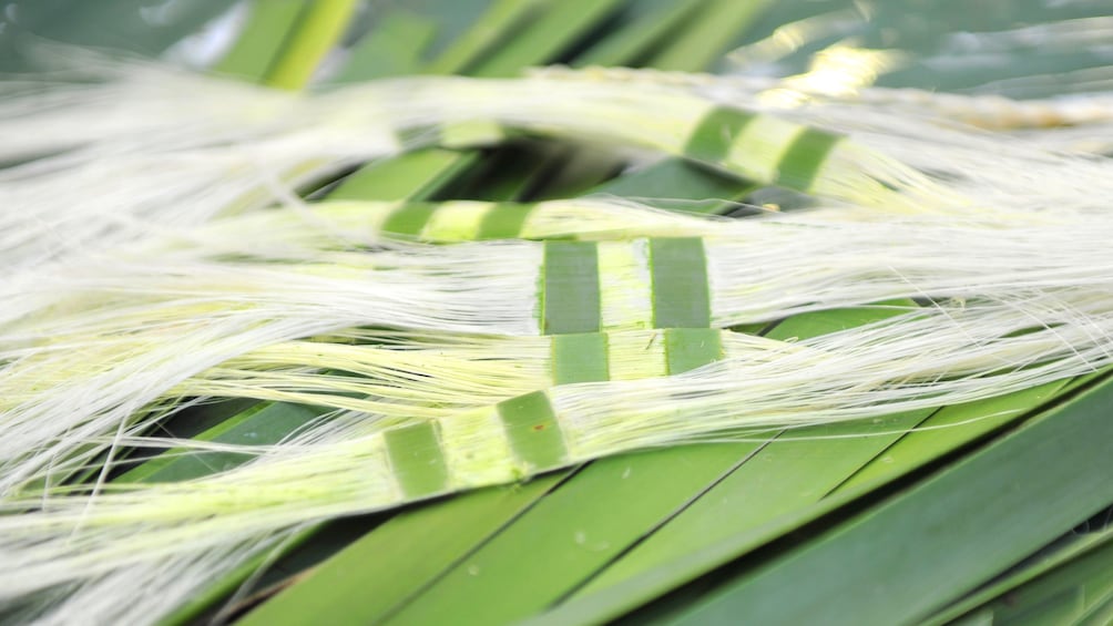 Woven palm fronds