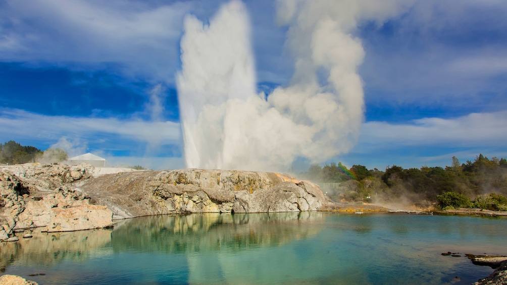 Geyser at a New Zealand geothermal pool