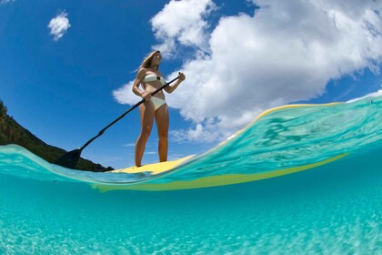 Santo Tomás: tour de SUP y esnórquel por la laguna Mangrove