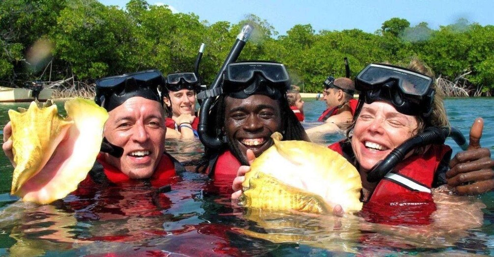 Picture 3 for Activity St. Thomas: Mangrove Lagoon SUP & Snorkel Tour