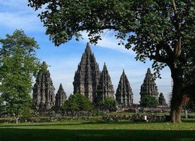 Borobudur & Prambanan Temple, Volcano Merapi tour.