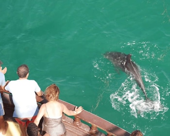 Djerba: Pirate Boat-Trip to Flamingo Island with Lunch