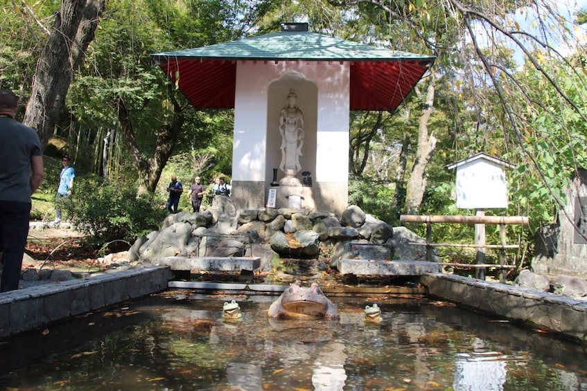 Picture 23 for Activity Kyoto Arashiyama: Bamboo, Monkeys, Temple, and Secrets