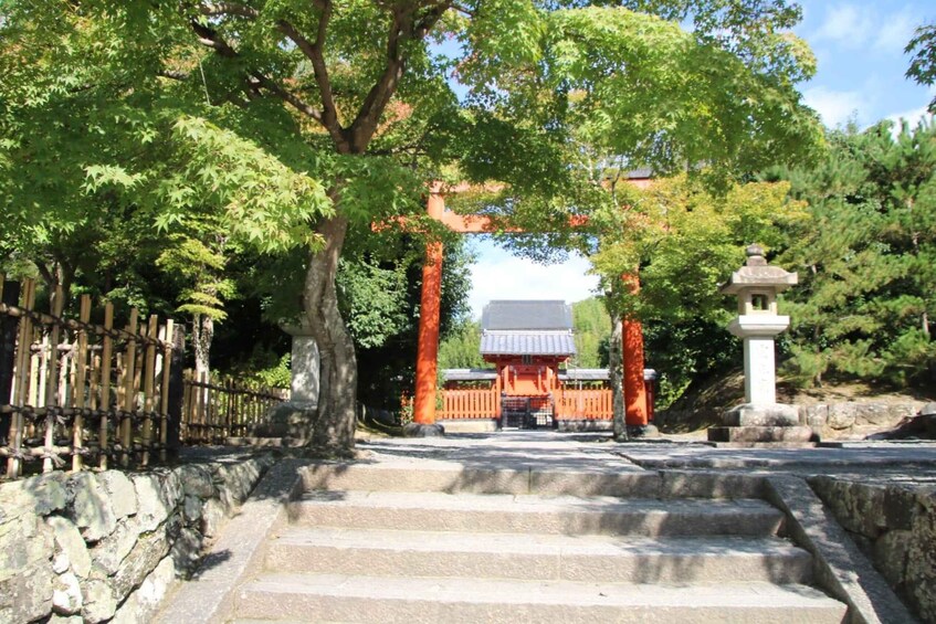 Picture 22 for Activity Kyoto Arashiyama: Bamboo, Monkeys, Temple, and Secrets