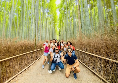 Kyoto Arashiyama: Bamboo, Monkeys, Zen Temple with Pro Guide