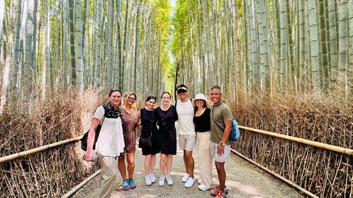 Kyoto Arashiyama: Bamboo, Monkeys, Zen Temple with Pro Guide